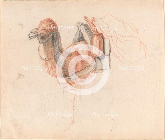 Camel, 1770s. Creator: Johann Rudolf Schellenburg.