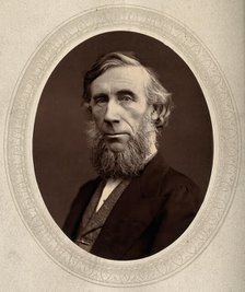 John Tyndall, late 19th century.  Creator: Lock & Whitfield.