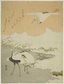 Cranes at the Sea Shore, c. 1768. Creator: Suzuki Harunobu.