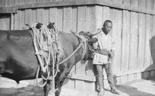 Travel views of Japan and Korea, 1908. Creator: Arnold Genthe.