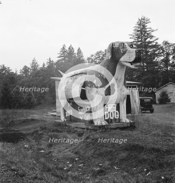 On U.S. 99 as it continues through Oregon, Lane County, Williamette Valley, Oregon, 1939. Creator: Dorothea Lange.