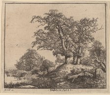 The Three Oaks, 1649. Creator: Jacob van Ruisdael.