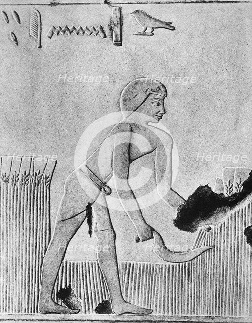Man reaping barley with a sickle, probably of wood set with flint, Ancient Egyptian, c240 BC. Artist: Unknown