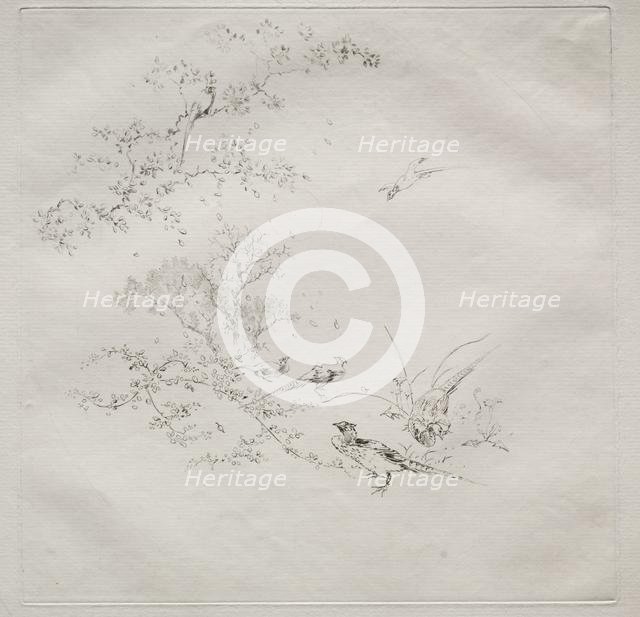 Parisian Service (Haviland service), 1875. Creator: Félix Bracquemond (French, 1833-1914).