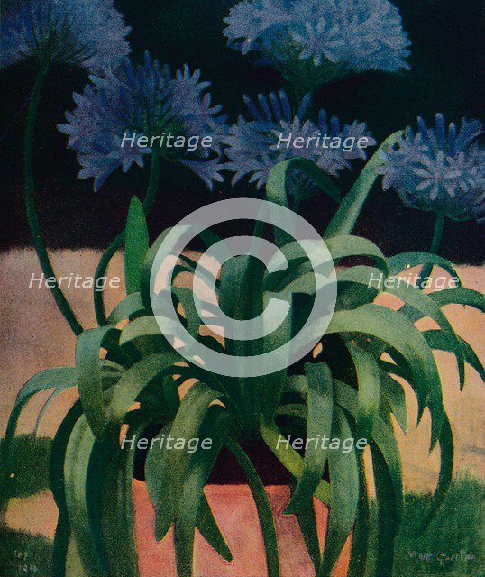 'Agapanthus', 1914, (c1932). Artist: Mark Gertler.