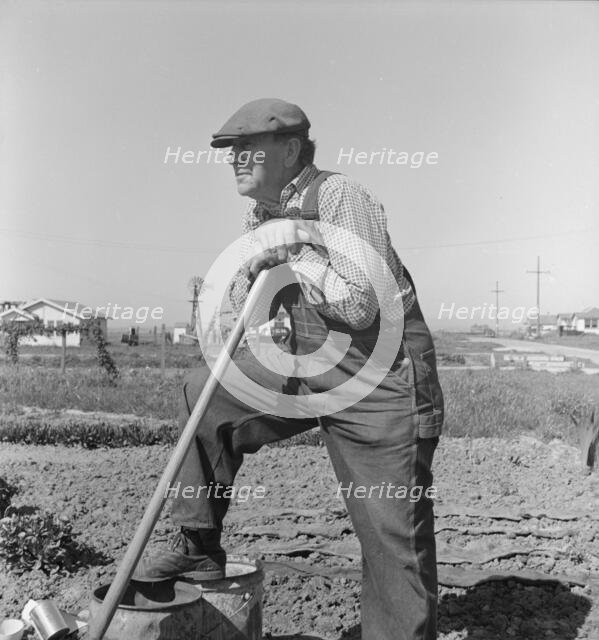 Farmer who has small plot...on outskirts of Salinas, CA, 1939. Creator: Dorothea Lange.