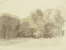 Edge of a wood, c1853. Creator: Carl Theodor Reiffenstein.
