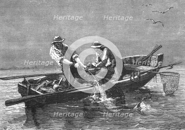'Hauling in a Drum-Fish; A Flying Visit to Florida', 1875. Creator: Thomas Mayne Reid.