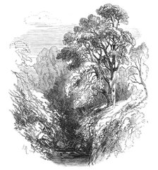 Cawdor Woods, 1868. Creator: S Read.