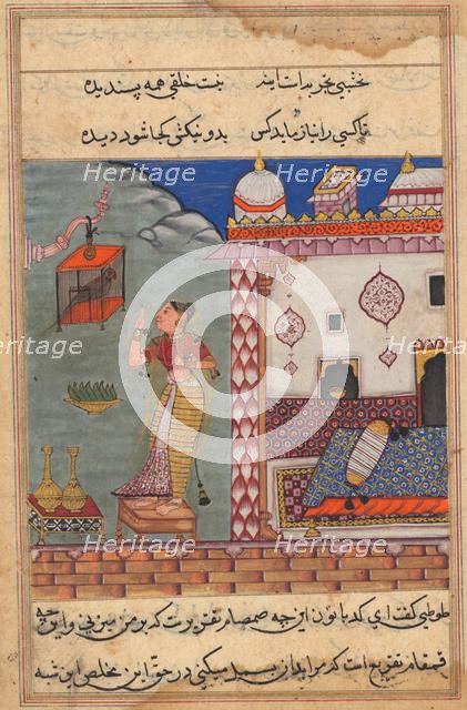 The parrot addresses Khujasta at the beginning of the twenty-seventh night, recto of folio 185...c15 Creator: Unknown.