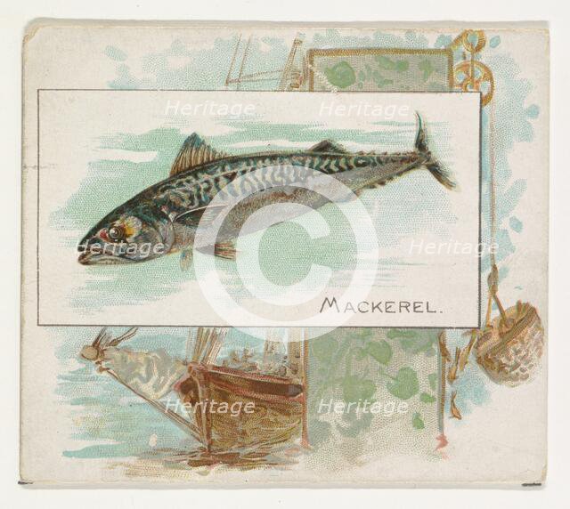 Mackerel, from Fish from American Waters series (N39) for Allen & Ginter Cigarettes, 1889. Creator: Allen & Ginter.
