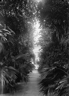 Botanical Gardens, 1917 or 1918. Creator: Harris & Ewing.