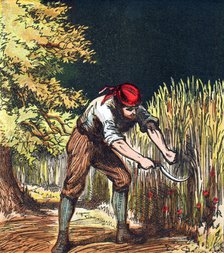 Reaper beginning to cut crop of wheat with a sickle, 1867. Artist: Unknown