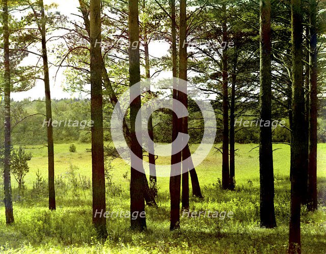 On the dam of the reservoir of the Chusovaya River (at the confluence of the Reshotka River), 1912. Creator: Sergey Mikhaylovich Prokudin-Gorsky.