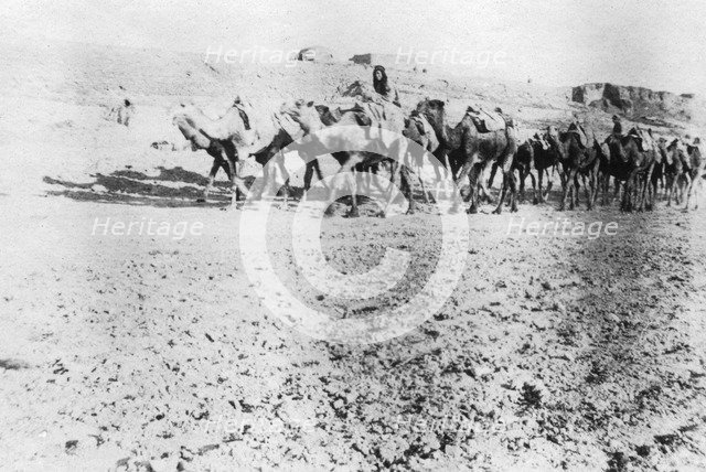 Camel train, Mosul, Mesopotamia, 1918. Artist: Unknown