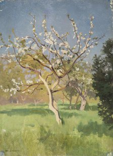Apple-Tree in Blossom, 1897. Creator: Jan Stanislawski.