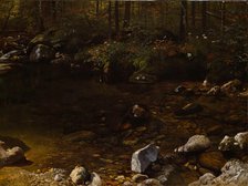 Shady Pool, White Mountains, New Hampshire, c. 1869. Creator: Albert Bierstadt.