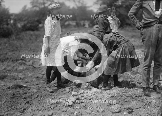 National Emergency War Gardens Com. - Girl Scouts Gardening at D.A.R., 1917. Creator: Harris & Ewing.