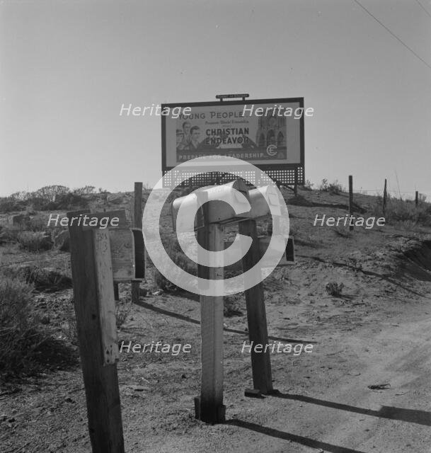 Billboard on U.S. Highway 99, California, 1937. Creator: Dorothea Lange.