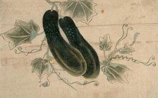 Two dill cucumbers, (unknown date). Creator: Unknown.