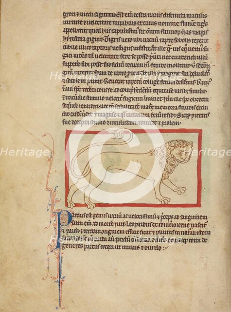 A Pard; Northumberland Bestiary, about 1250-1260. Creator: Unknown.