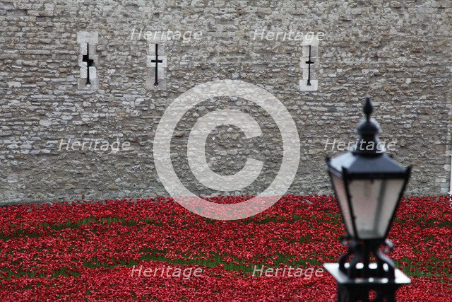 'Blood Swept Lands and Seas of Red', Tower of London, 2014.  Artist: Sheldon Marshall