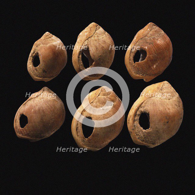 Perforated shell beads from Blombos Cave, South Africa. The oldest artifact of mankind, 70th millenn