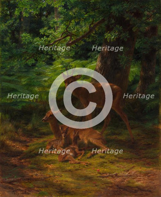 Deer in Repose, 1867. Creator: Rosa Bonheur.