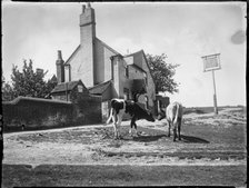 The Black Horse, Chorleywood Common, Chorleywood, Three Rivers, Hertfordshire, 1915. Creator: Katherine Jean Macfee.