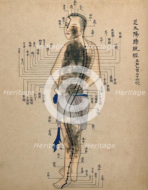 Acupuncture chart with a series of points indicated on the figure of a standing Chinese man. Creator: Unknown.