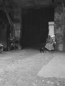 Woman and cats in a courtyard, New Orleans, between 1920 and 1926. Creator: Arnold Genthe.