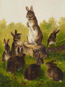 Rabbits, 1859. Creator: William Jacob Hays.