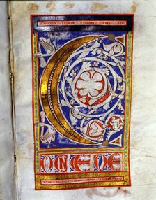Drop cap 'C' illuminated with two birds and lush floral decoration, manuscript on parchment made?…