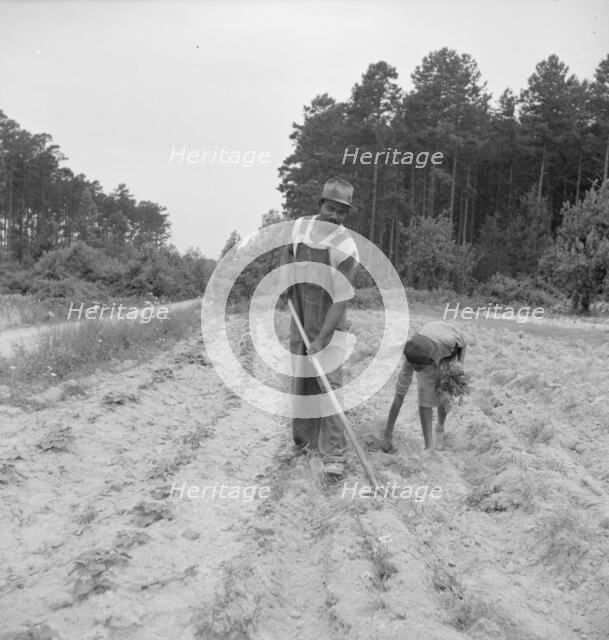 Thirteen year old daughter of Negro sharecropper..., Olive Hill, North Carolina, 1939. Creator: Dorothea Lange.