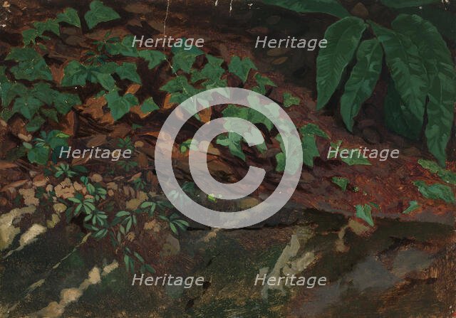 Exercise, leaves, 1835-1853. Creator: Nils Jakob Blommer.