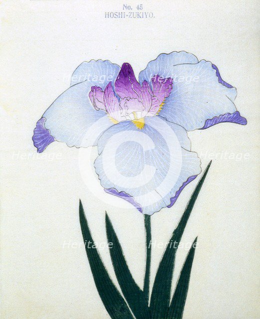 Hoshi-Zukiyo, No. 45.