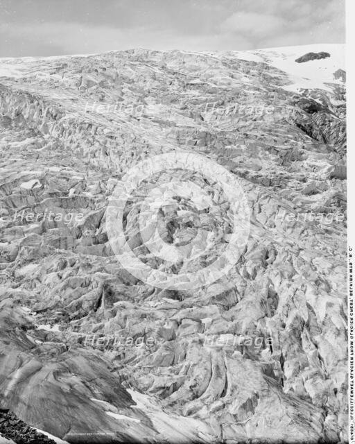Illecillewaet Glacier from Glacier Crest, Selkirk Mts., B.C., between 1900 and 1906. Creator: Unknown.
