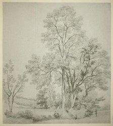 A Stand of Elm Trees (recto); A Study of East Bergholt with the Church (verso), c. 1802. Creator: John Constable.
