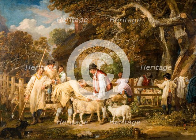 Sheep Salving, 1828. Creator: James Ward.