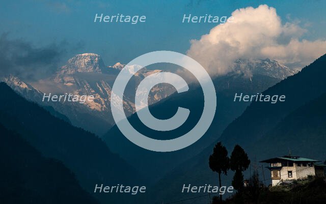 Long Life Peak. Creator: Dorte Verner.