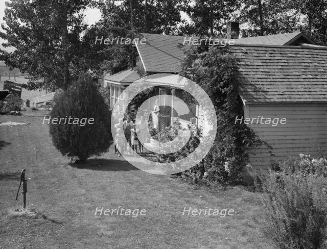 Possibly: Washington, Yakima Valley, near Wapato, 1939. Creator: Dorothea Lange.
