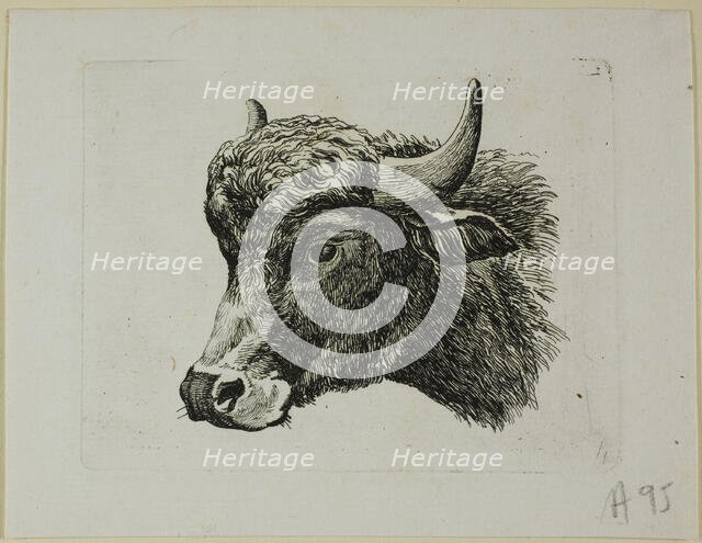 Buffalo Head Facing Left, from Die Zweite Thierfolge, 1799/1803. Creator: Johann Christian Reinhart.