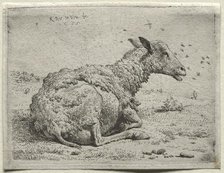 The Sheep and the Flies. Creator: Karel Dujardin (Dutch, c. 1622-1678).