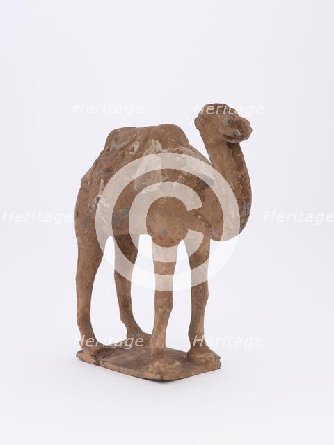 Camel, 385-535. Creator: Unknown.