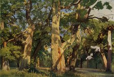 'Oak Trees at Eventide', 1887, (1965). Creator: Ivan Shishkin.