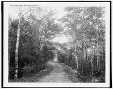 Leslie Avenue, Mackinac Island, Mich., (1902?). Creator: William H. Jackson.
