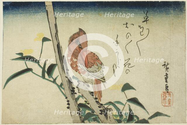 Kingfisher and dayflower, 1830s. Creator: Ando Hiroshige.