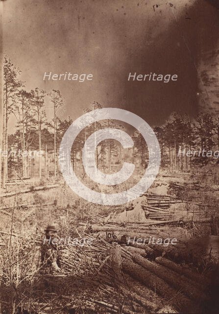 The Wilderness Battlefield, 1864. Creator: Unknown.