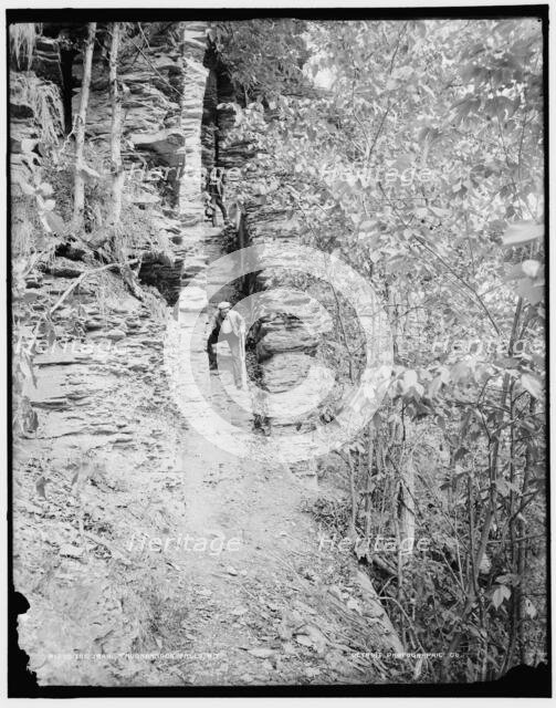 The Trail, Taughannock Falls, N.Y., between 1890 and 1901. Creator: Unknown.