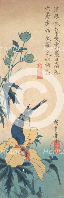 Hibiscus and Bluebird, ca. 1832., ca. 1832. Creator: Ando Hiroshige.
